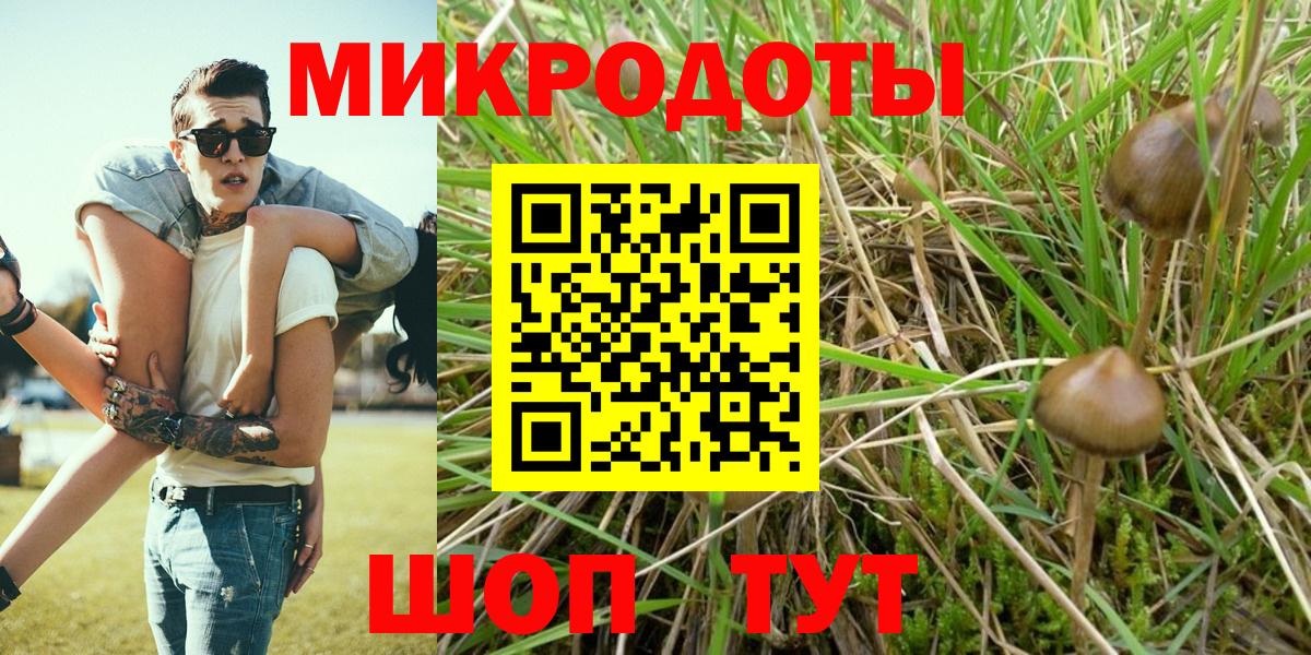 Галлюциногенные грибы мухоморы  Вход с VPN  продажа наркотиков  Псилоцибиновые грибы Magic Shrooms  Торжок 